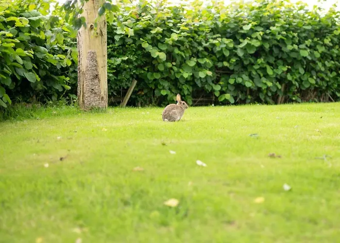 6 Bed In Near Settle Oc-ds102