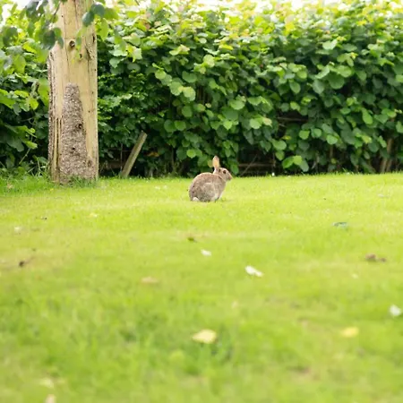 Swallows Feriehus Tosside